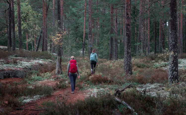 National Parks Tiveden 1