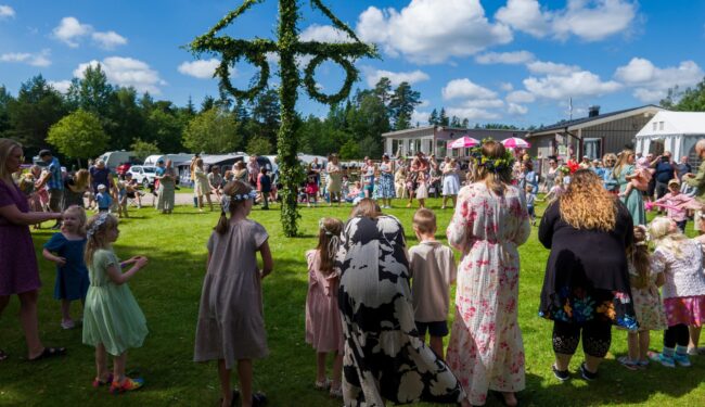 Stenröset midsommar